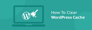 Clear WordPress Cache